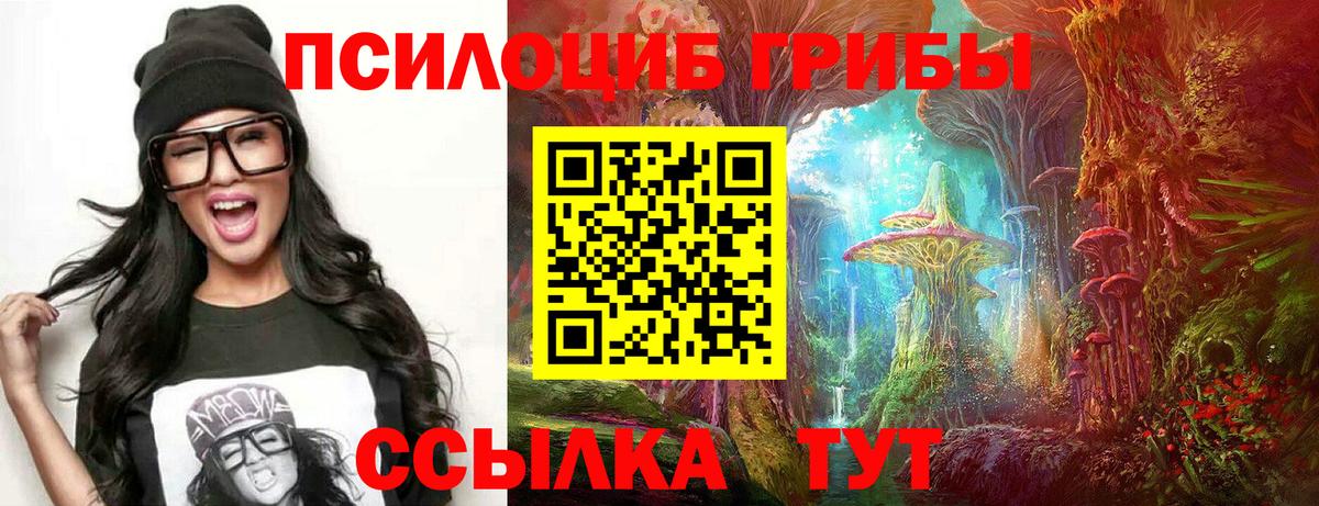Псилоцибиновые грибы мицелий  Псилоцибиновые грибы Psilocybe  Ревда  Вход с VPN 