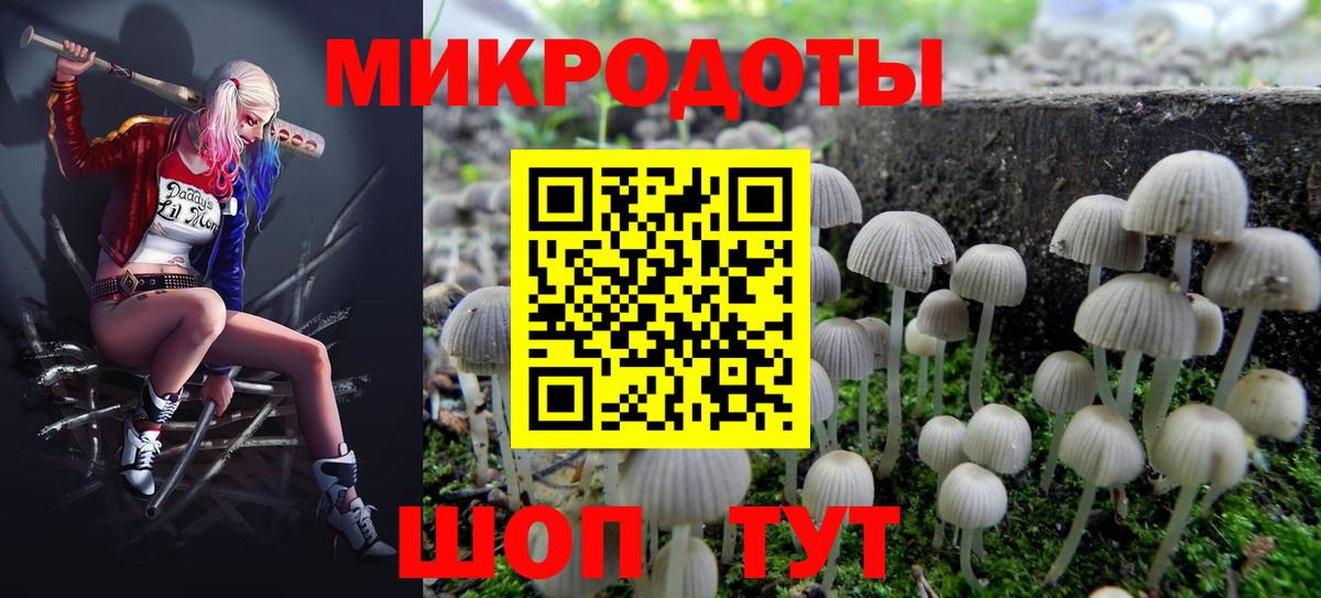 Псилоцибиновые грибы мухоморы Ревда